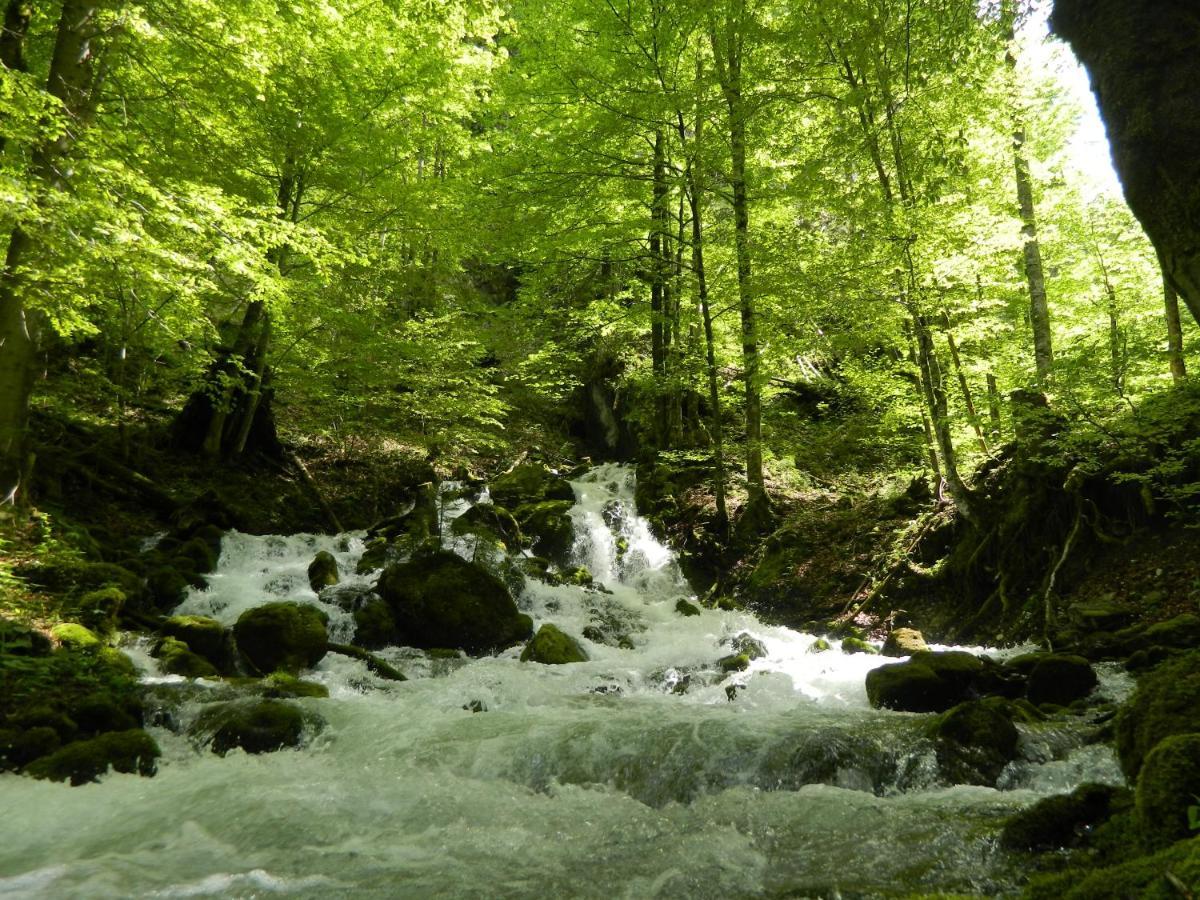 Egglmeier'S Ferienwohnung Grundlsee Buitenkant foto